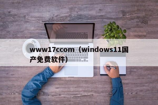 www17ccom（windows11国产免费软件）